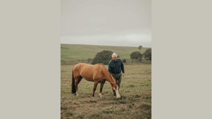Crioulo como economia cultural mostra como tradição se transforma em indústria milionária, analisa Aldo Vendramin.