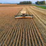No campo moderno, observar a terra vai além de medir resultados, e Alfredo Moreira Filho explica como esse olhar estratégico transforma a agronomia e potencializa decisões mais inteligentes na produção.