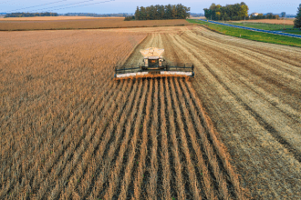 No campo moderno, observar a terra vai além de medir resultados, e Alfredo Moreira Filho explica como esse olhar estratégico transforma a agronomia e potencializa decisões mais inteligentes na produção.