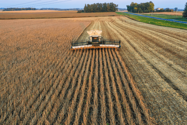 No campo moderno, observar a terra vai além de medir resultados, e Alfredo Moreira Filho explica como esse olhar estratégico transforma a agronomia e potencializa decisões mais inteligentes na produção.