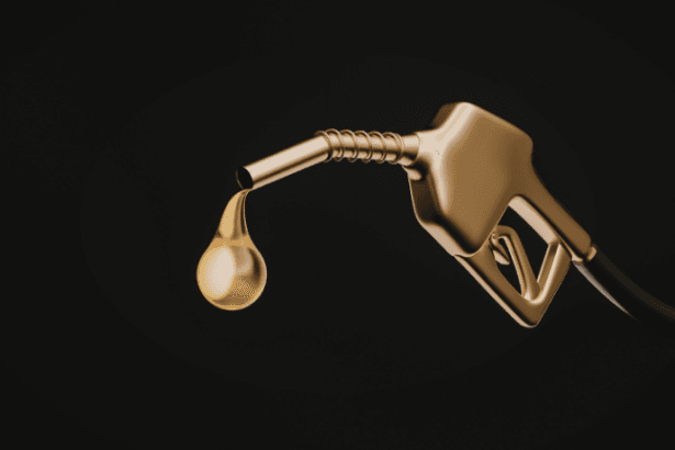 Luiz Felipe do Valle Silva do Quental de Menezes